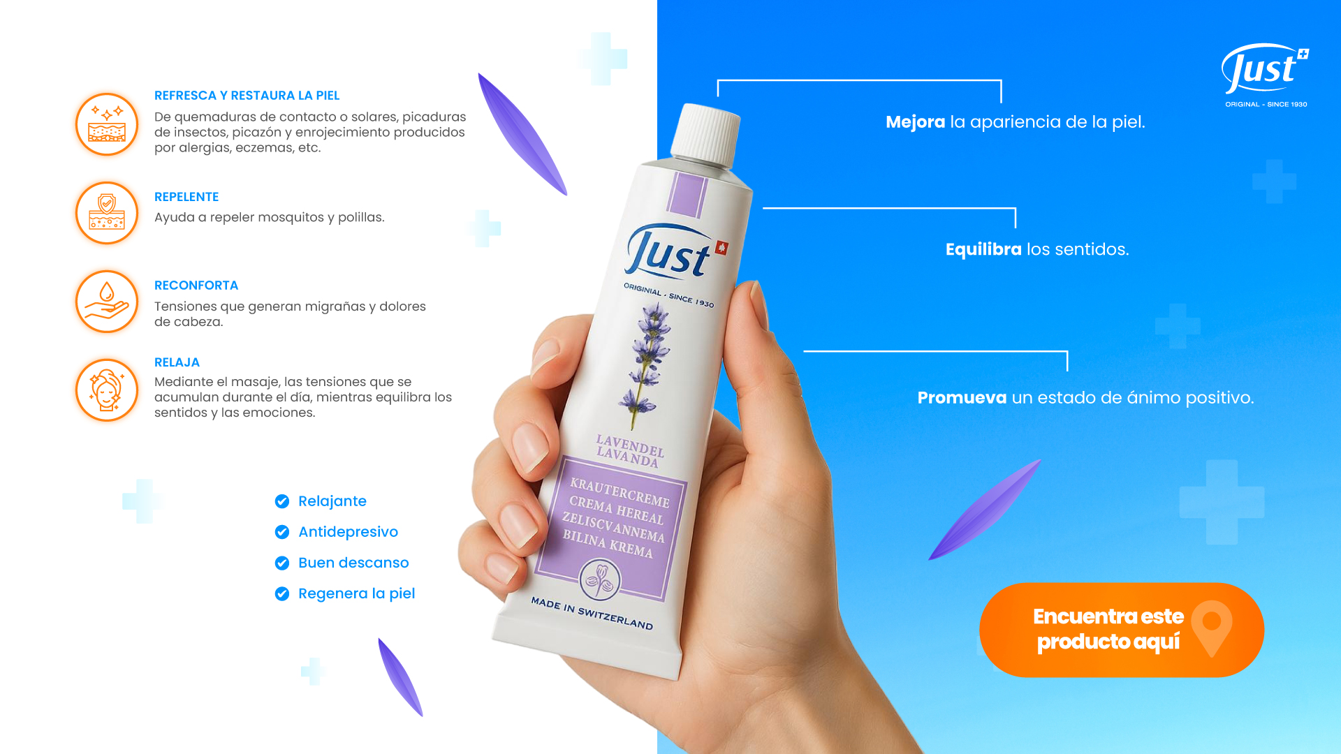 Just Lavanda