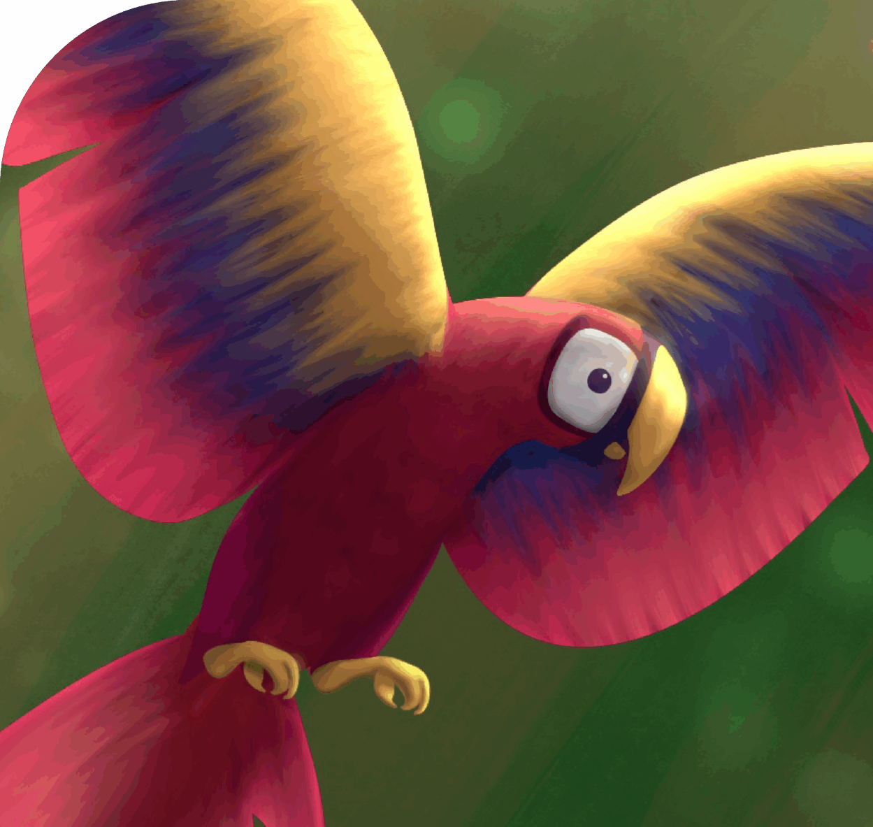 Petra La Guacamaya