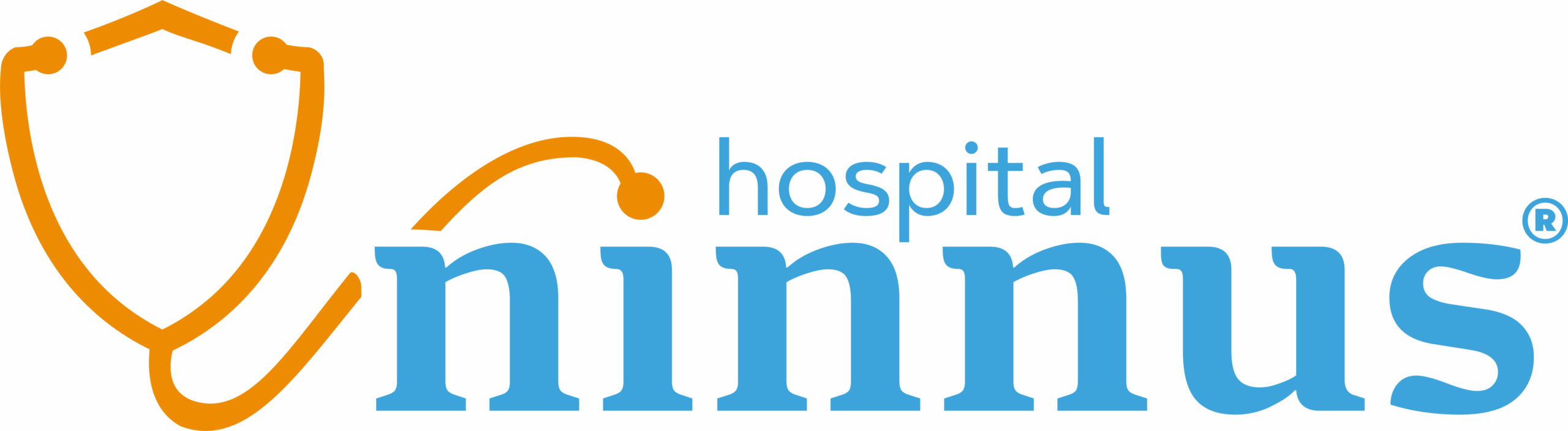Hospital Ninnus